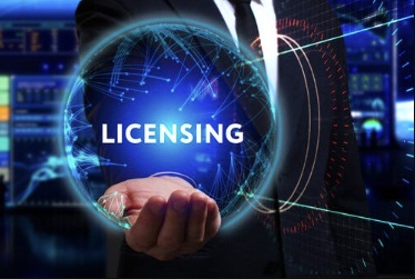 Mastering Software Licensing in the Digital Age